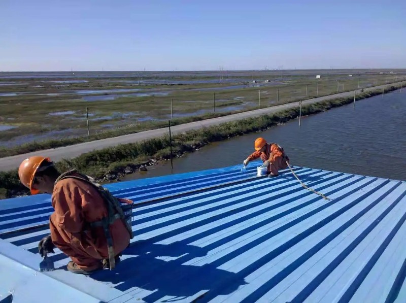 宿州彩钢瓦屋面防腐翻新